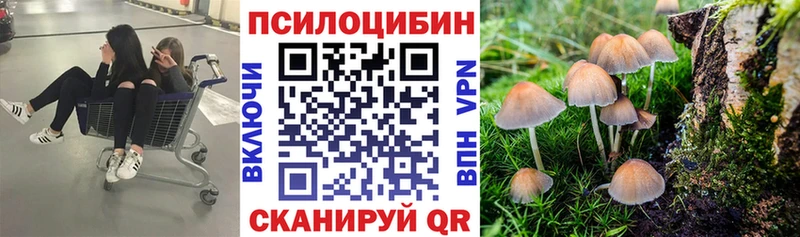 ОМГ ОМГ ONION  Ардатов  Псилоцибиновые грибы GOLDEN TEACHER 